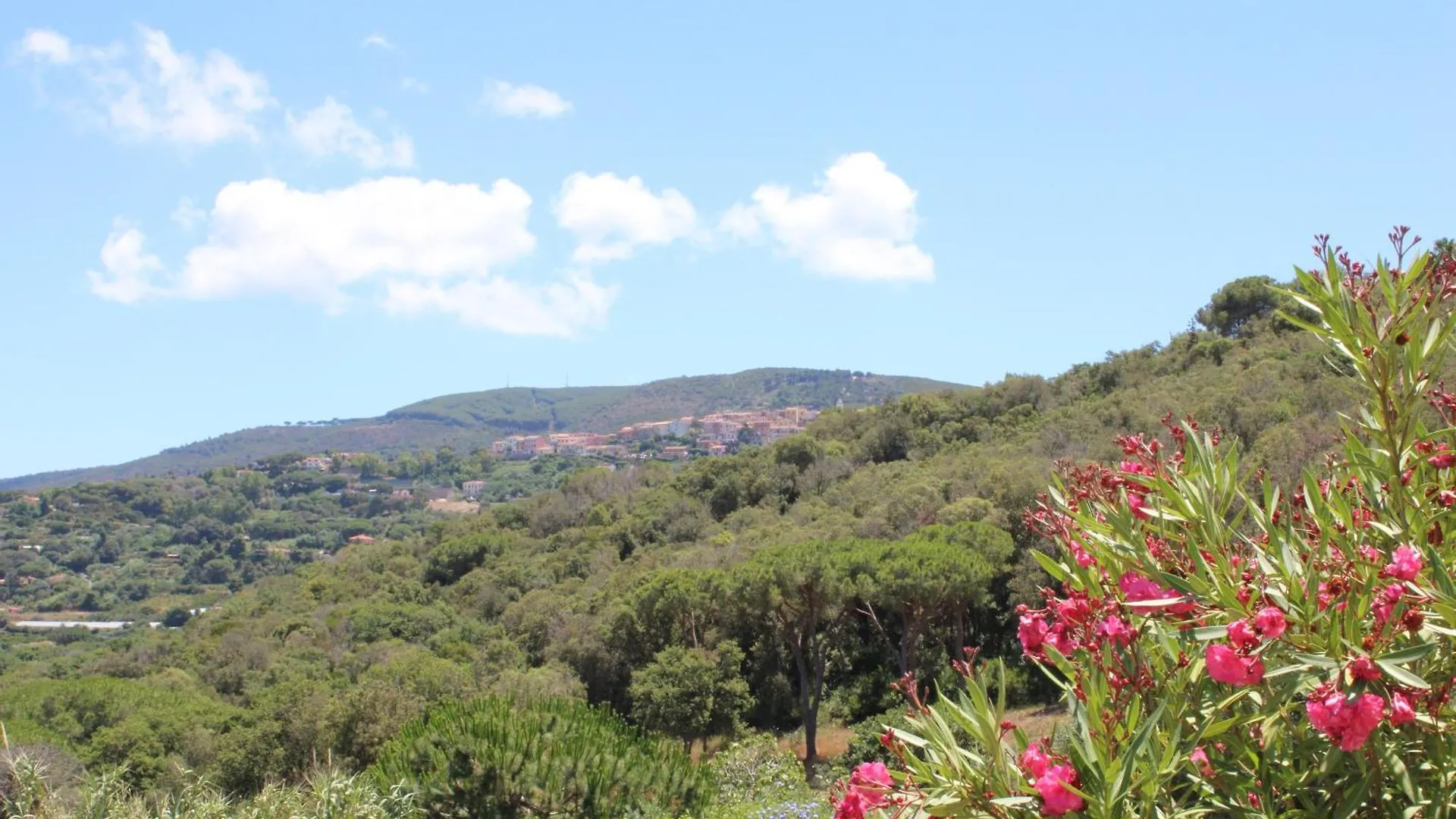 C'Era Una Volta Villa Capoliveri  Holiday home